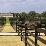 Aluminum Horse Fence Installed in Barrie