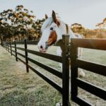 Equine Fence-Aluminum Equine Fence