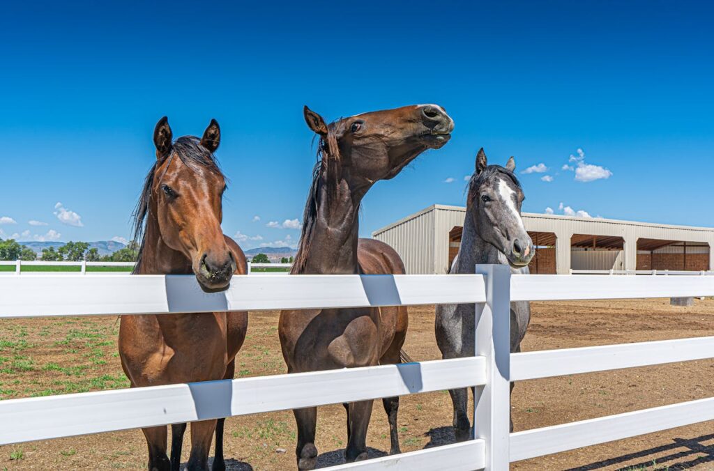 Equine Fence-Equine Vinyl Fence