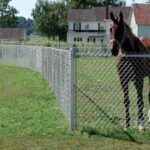 horse-farm-chain-link-fences